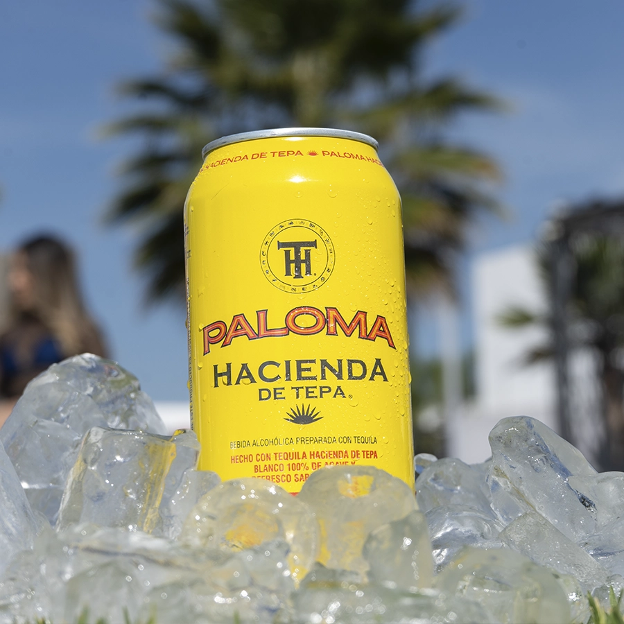 Paloma 2